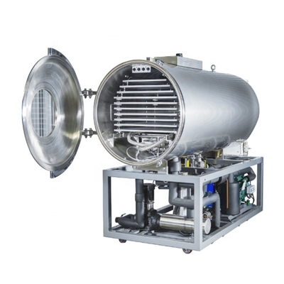Food Freeze Dryers Sale Fruit and Vegetable Drying Vacuum Machine Freeze Dryer Machine Lyophilizer in Philippines
