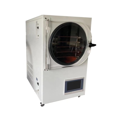 Mini Home Freeze Dryer For Good Food Processing Meat Vegetable Fruit Price