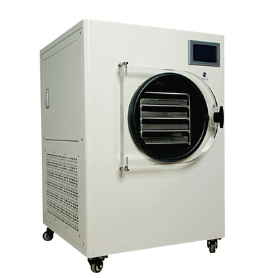 Medicine Processing Industrial and Home Freeze Dryer Machine Mini Freeze Food Freeze Dryer