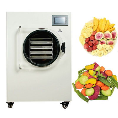 Medicine Treating Multifunctional Home Mini Freeze Dryer Small Home Gel Dryer Dryer With Dryer Vacuum Pumps