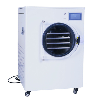 Medicine Processing Freeze Drying Equipment Lab Scale Freeze Drying Equipment Chinese Mini Portable Food Vacuum Freeze Dryerlyophilizer